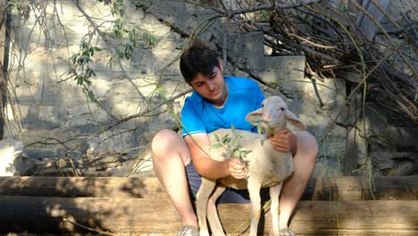 joven agricultor alimentando a un cordero