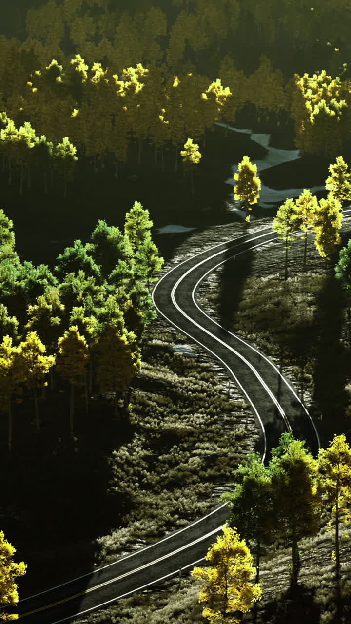 Winding road through vibrant autumn forest in golden hour light