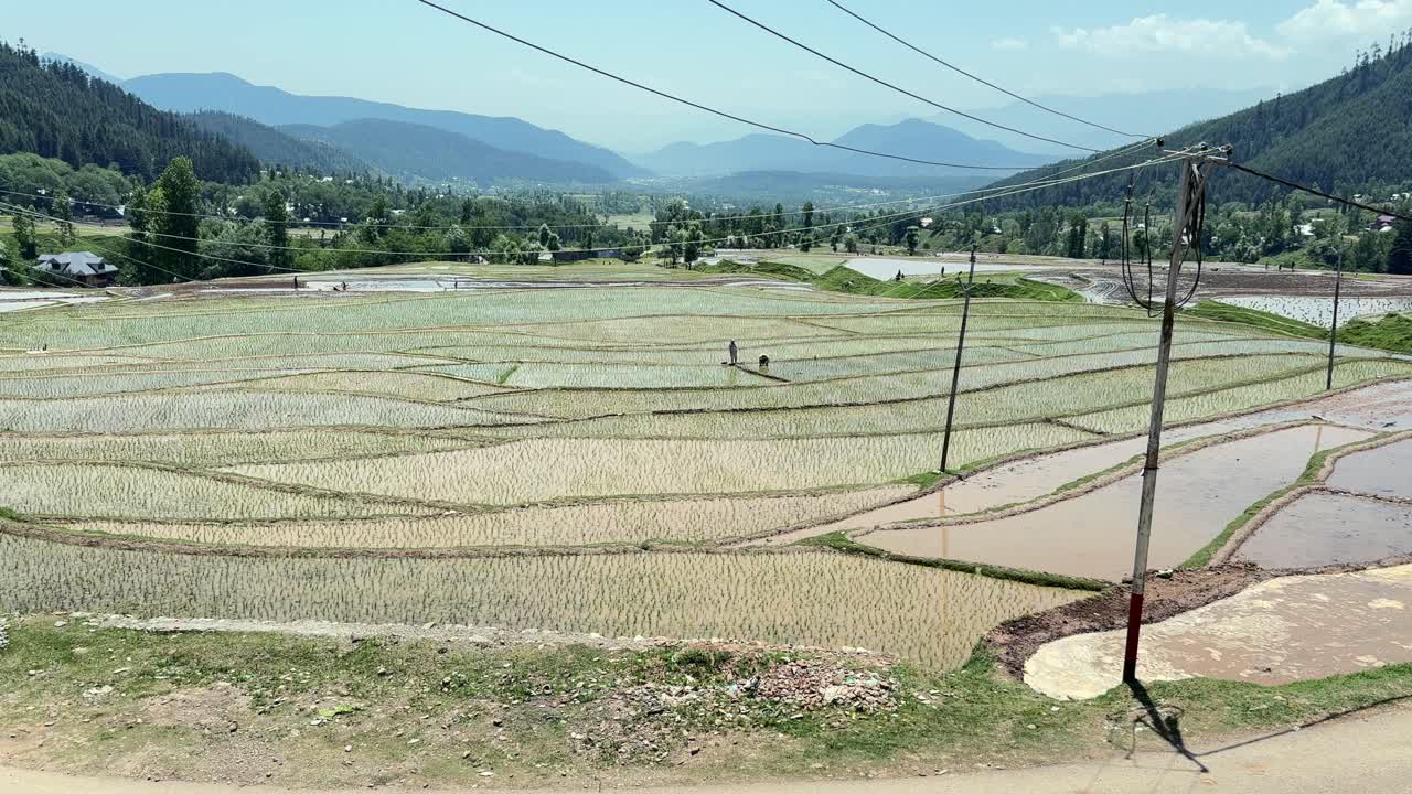Beauty of Rural India and farmers land, Nature beauty, Hills, Green Fields with Village Life in Forest area and Timeless Travel Escapes