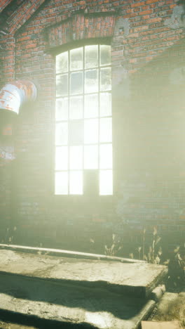 abandoned factory window with sunlight streaming in