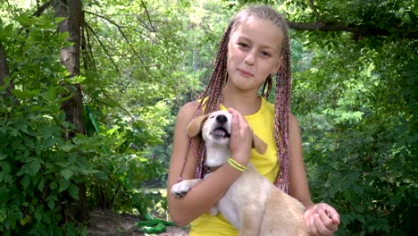 a girl stroking a dog