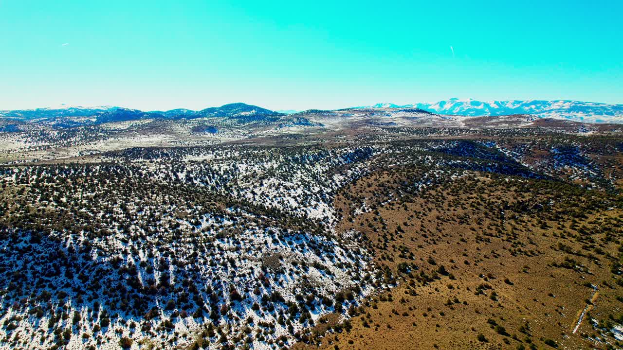 네바다 고지대 리노 근처의 언덕 풍경에 있는 조감도 숲