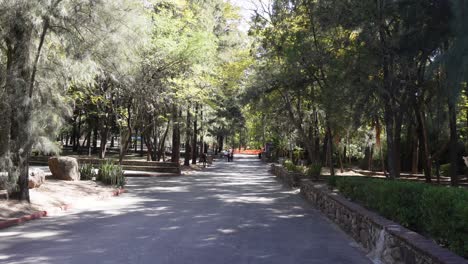 panning of an outdoor park