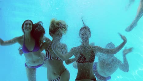 four friends jumping into swimming pool and waving