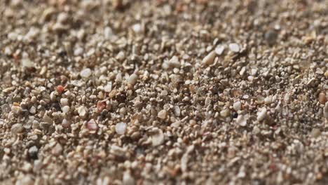 video of close up of sand grains and copy space background