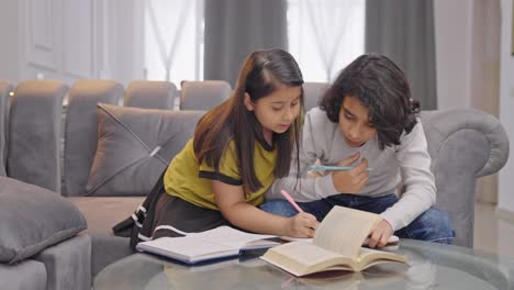 indian sister helping his brother in studies