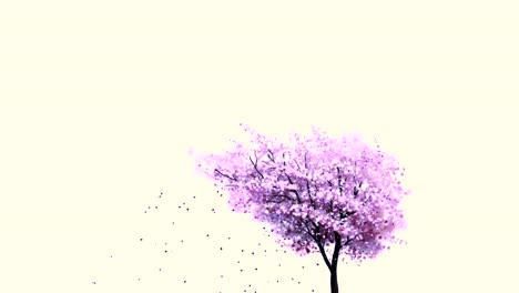 pink cherry blossom tree