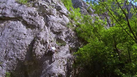 a rock climber scaling the sheer cliff walls of the turda gorge