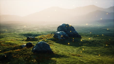 big stones in grass field