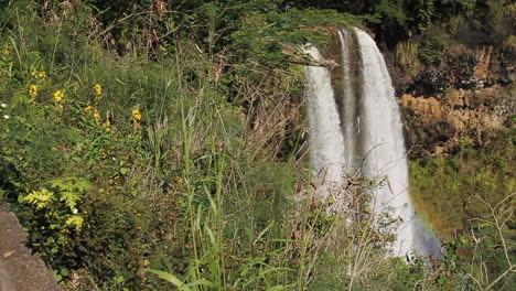 waterfalls create rainbow amongst green brush in hawaii