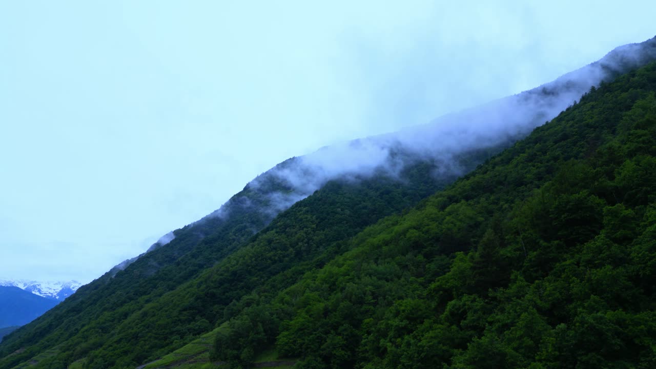 Wide shot of mist-covered forest slope, with the cloudy sky dominating the upper frame. Shot at Villa di Tirano Italy (Italia)