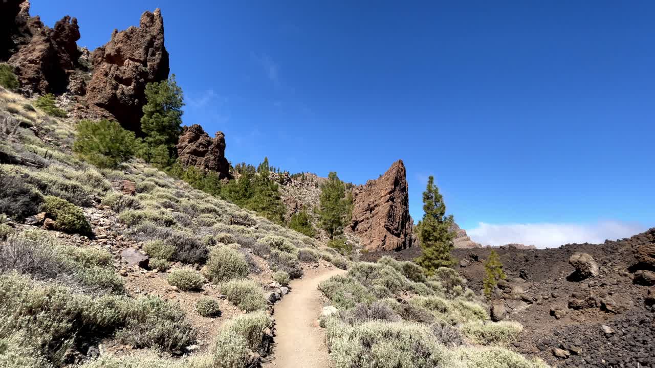 테네리페의 특별한 점