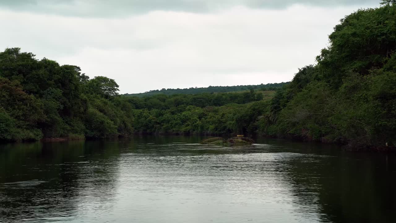 inclinando hacia arriba k tiro de un gran brasileño