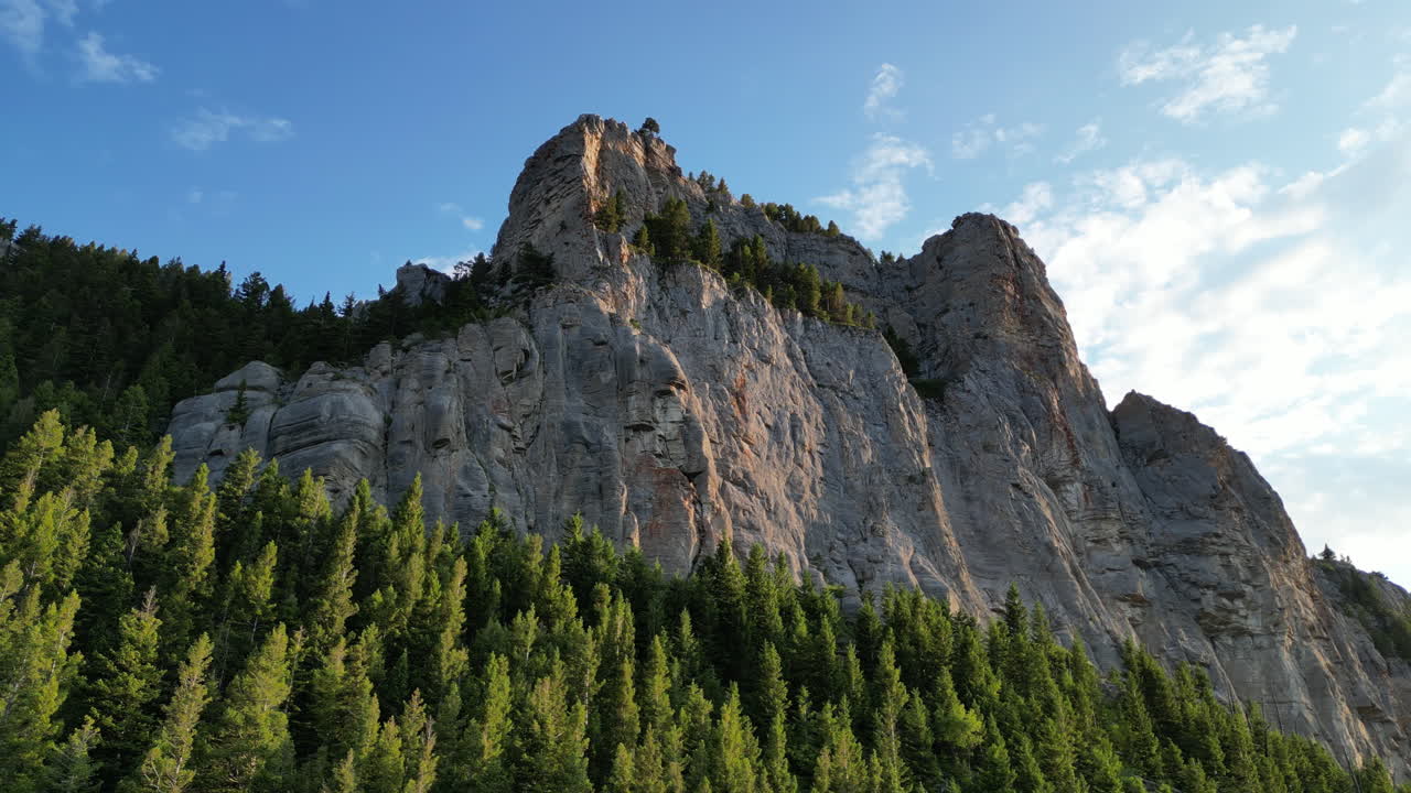 pico de la montaña del bosque en la hora dorada del atardecer con árboles de hoja perenne [4k