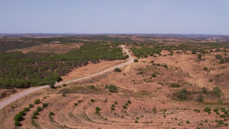 Volando-Sobre-Un-Camino-Interminable-En-El-Paisaje-Típico-Del-Campo-En-Alentejo,-Portugal