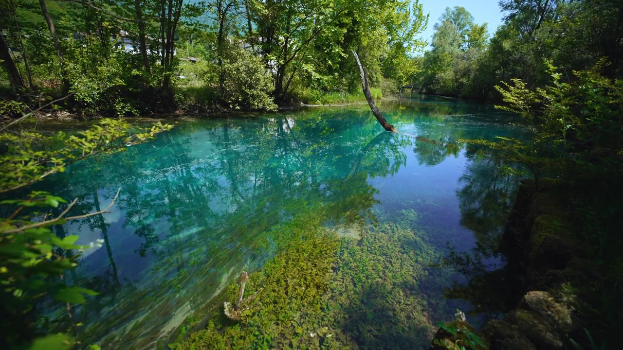 Transparent klart turkost vatten och trädreflektioner vid Santissima-källan, Italien, med livfull grön skog.