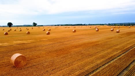 Aerial-view-of-a-large-industrial-brown-field-with-many-hay-bales-in-field-in-4K,-zoom-in