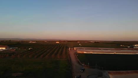 California-Farm-Drone-Sunset