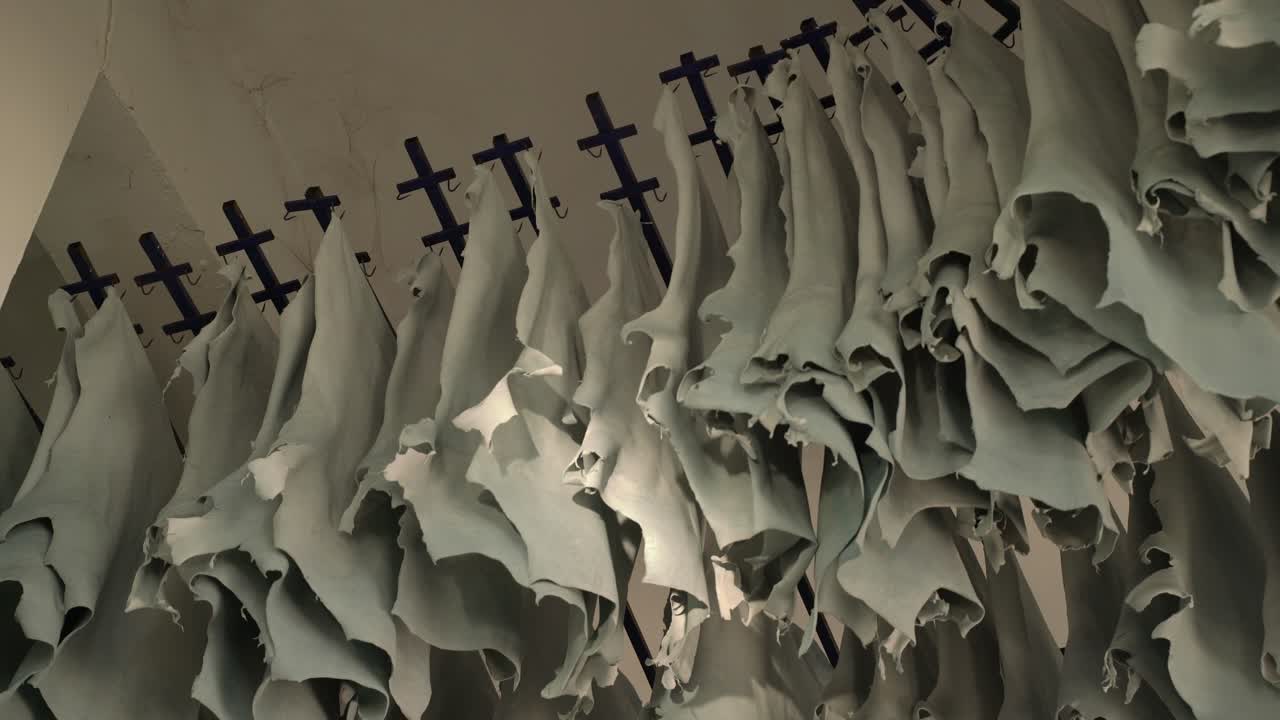 가죽 제조 공장에서 검게 그을린 동물 가죽 랙