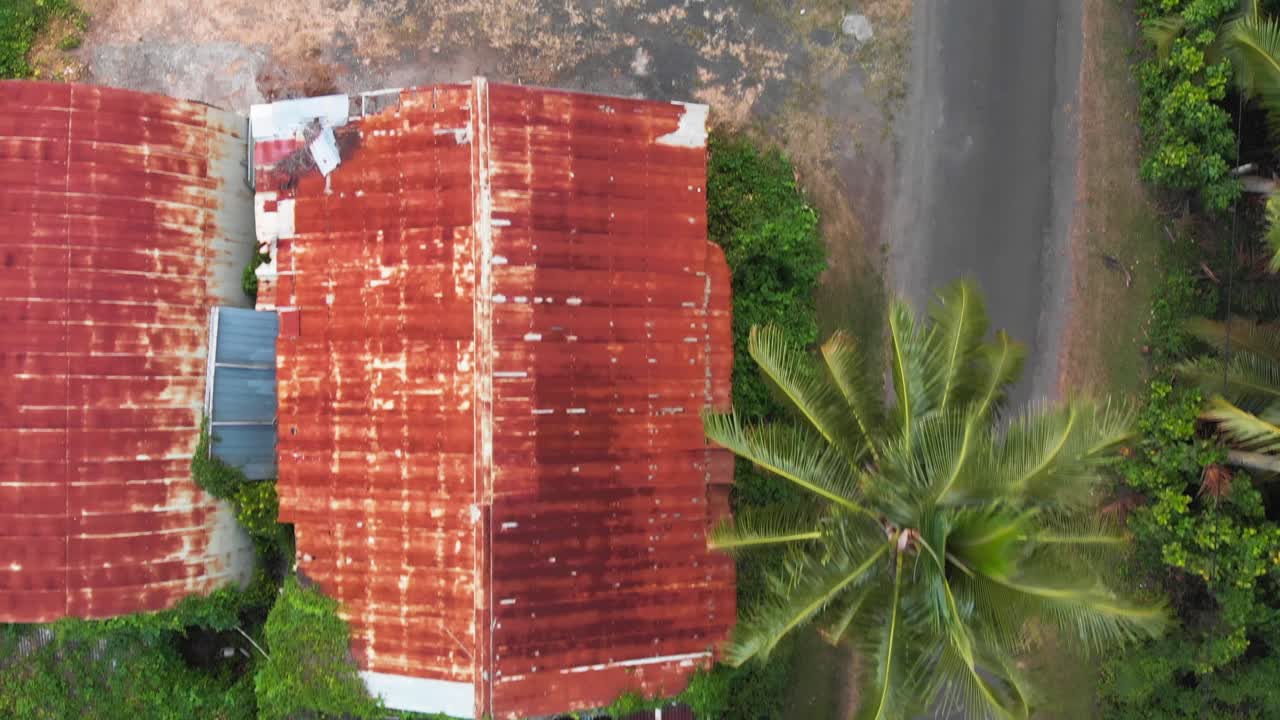 vista aérea de un hombre en bicicleta en rarotinga, islas cook