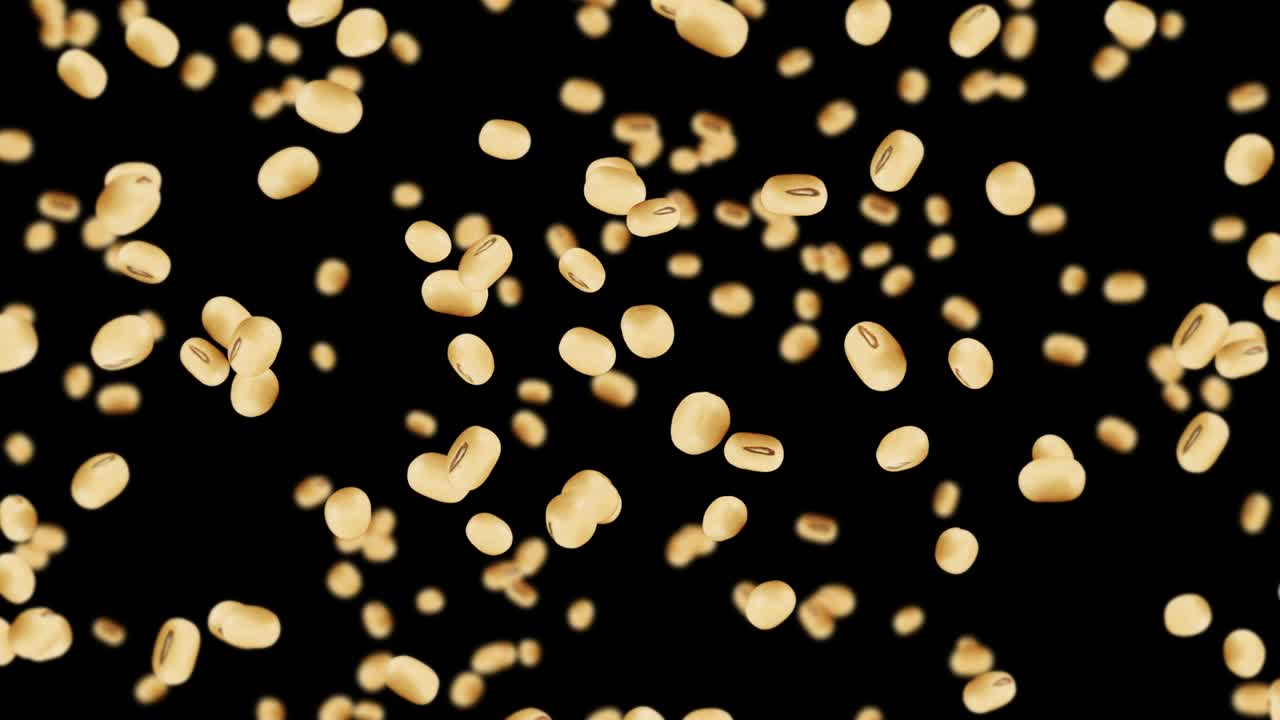 검은색 바탕에 많은 콩을 날아. 밝은 갈색 곡물. 콩과 콩. 건강한 음식. 회전하는 콩의 3d 루프 애니메이션.