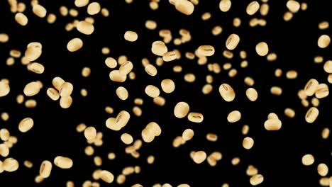 flying many soybeans on black background. light brown grains. soya bean and soja. healthy food. 3d loop animation of soy beans rotating.