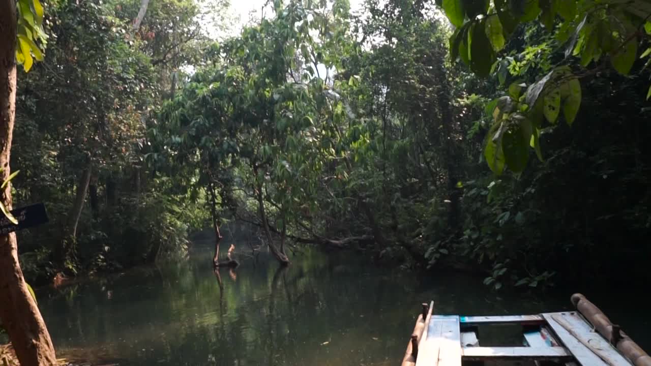 A small hidden lake in the jungle