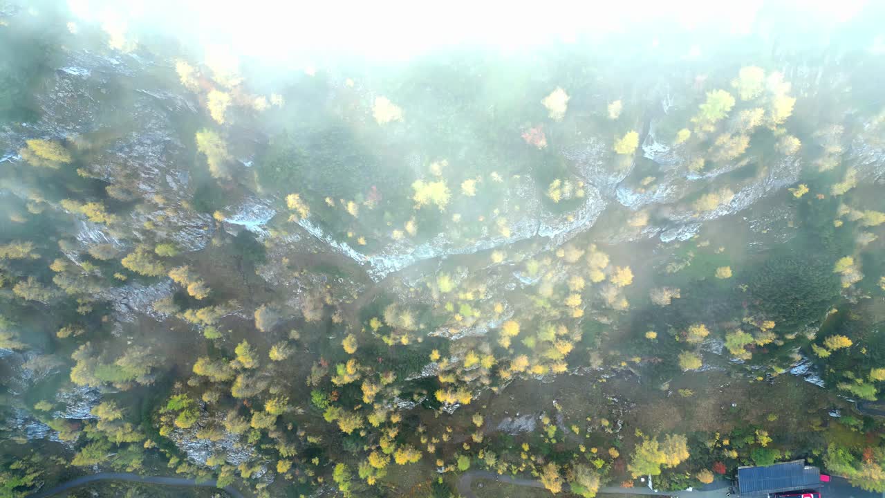 활기찬 가을의 숲 위를 날아다니며, 색으로 불타고, 조용한 호수의 유리색 표면에 반사됩니다.