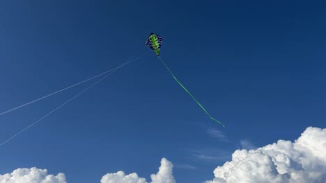 low angle view of green kite with long