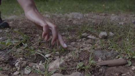 Schuhe-Und-Hände-Schließen-Sich-Und-Berühren-Einen-Springenden-Kleinen-Frosch