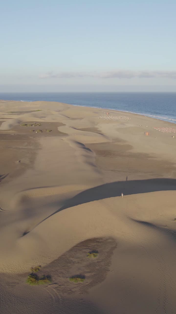 Scenic drone shot of golden dunes and coastline in Maspalomas, Gran Canaria, a classic beach getaway. Vertical aerial