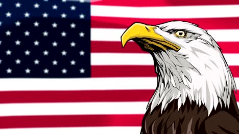 bald eagle background