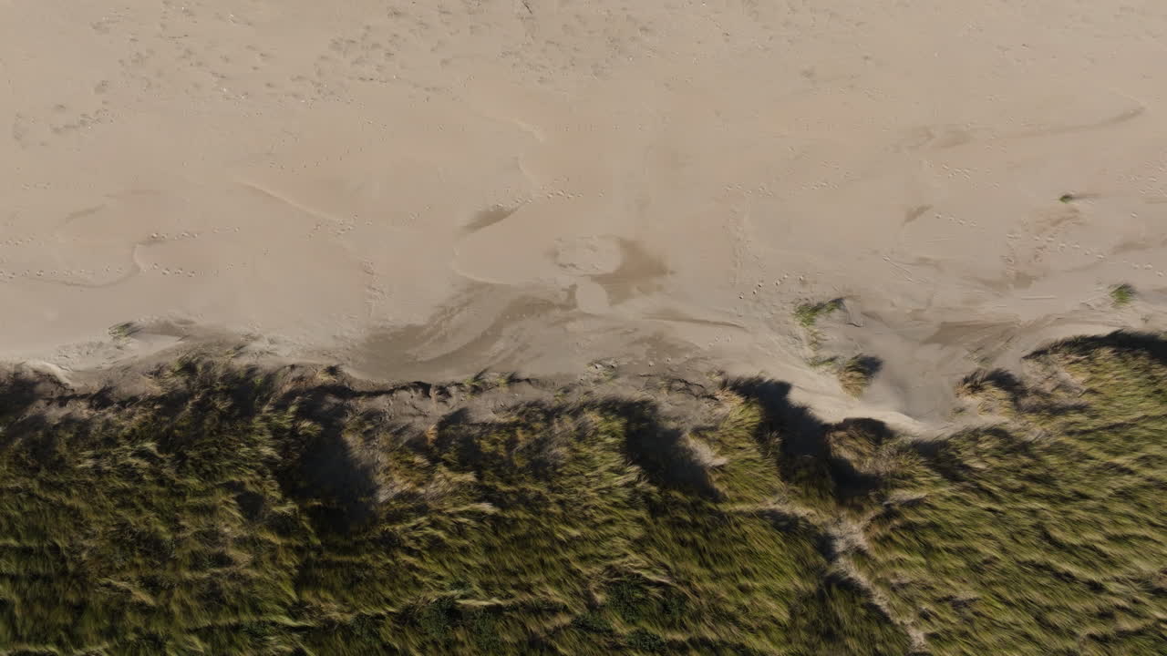 Aerial riser view where coastal dune grasses blowing in wind meets sandy beach
