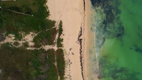 Birds-Eye-View-Over-Empty-Playa-Paraiso-Beach