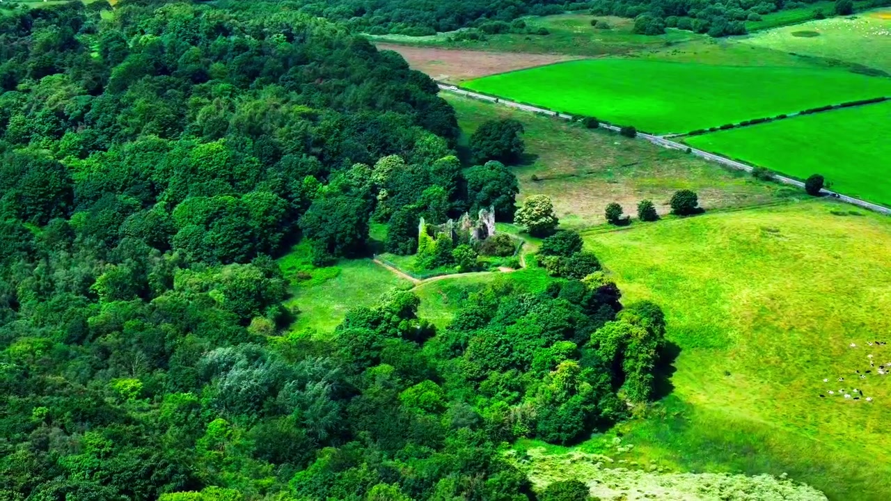Vecchie rovine di Auchans vicino a Dundonald, Ayrshire, Scozia, antiche rovine in pietra circondate da boschi maturi e campagna aperta, vista aerea cinematografica