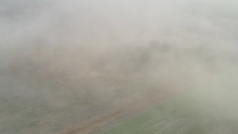 dust storm in the field. demolishes the fertile layer of black soil and crops.