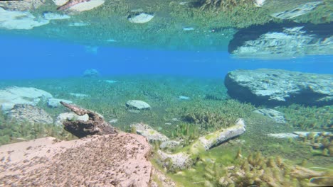bajo el agua el lago más claro del mundo