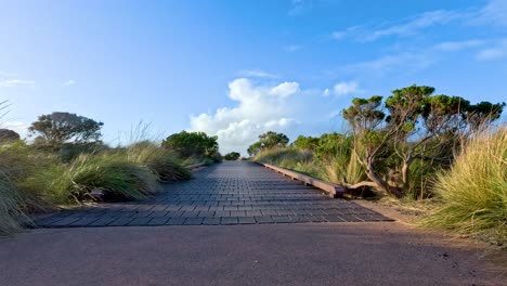 a serene walk along a sunlit path with lush greenery and clear skies on the great ocean road, australia