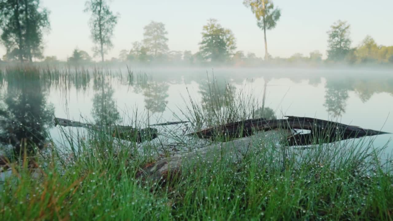 mañana brumosa en la orilla del lago