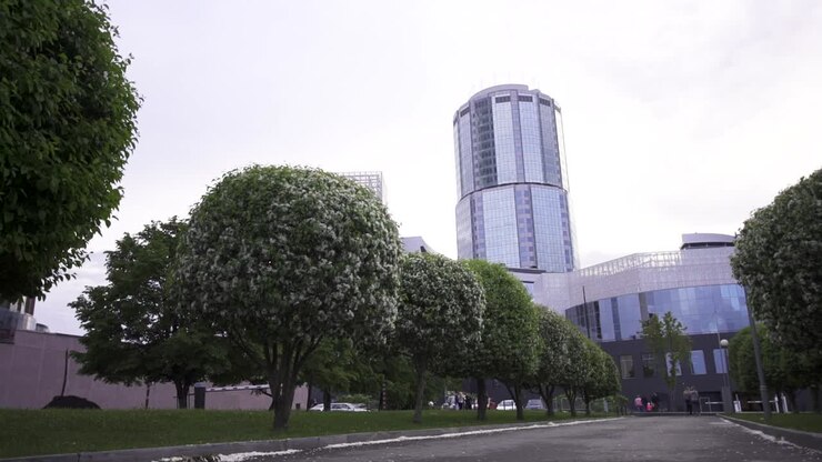 paesaggio urbano con alberi e grattacieli