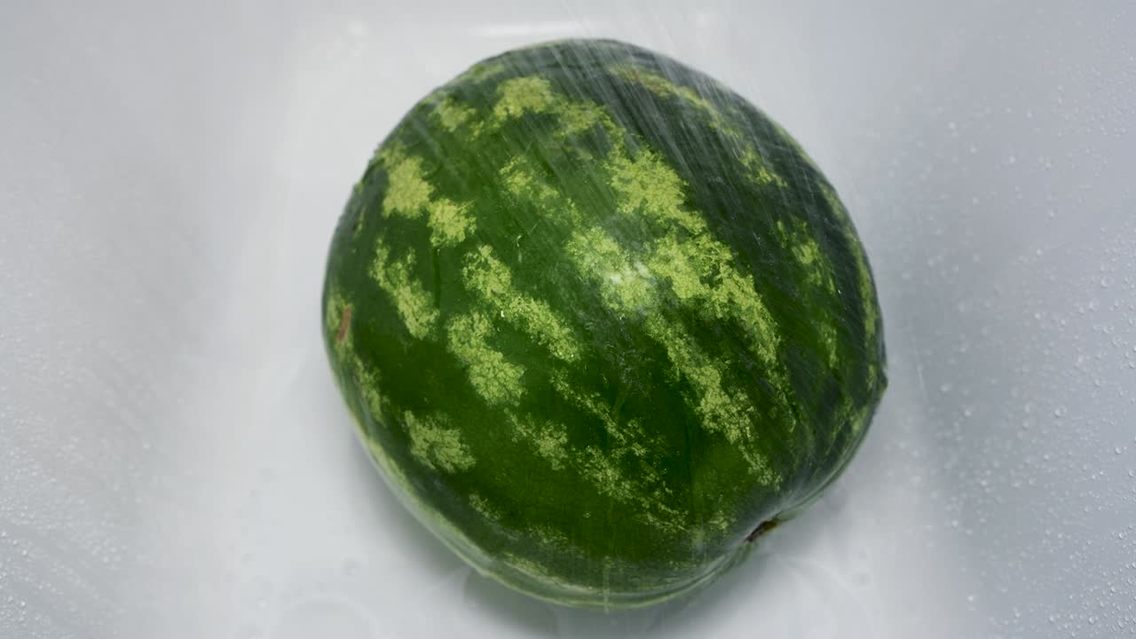 은 수박을 샤워하세요.