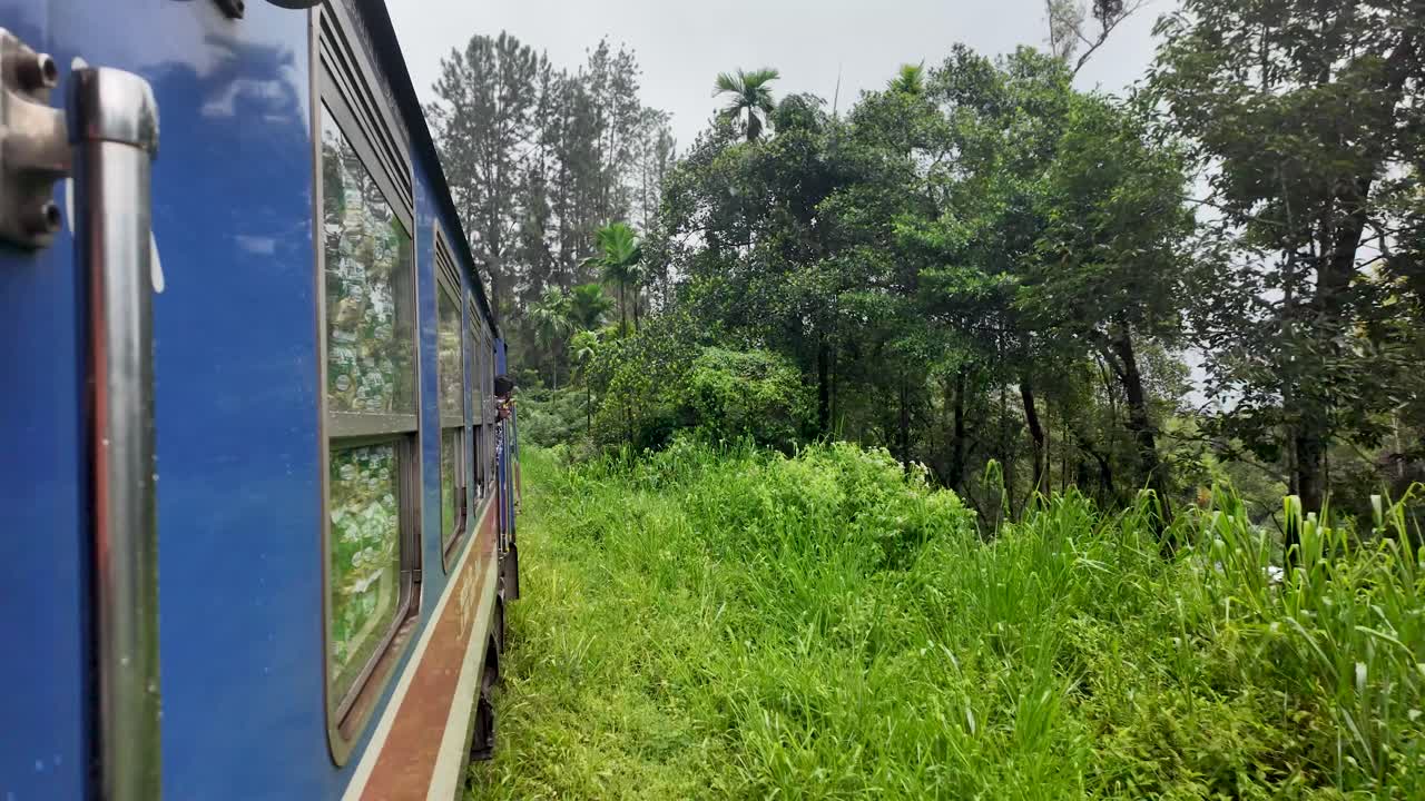 Blue train curves gracefully through a dense forest, juxtaposing vibrant greenery and sleek modern design, invoking a sense of adventure and natural harmony.