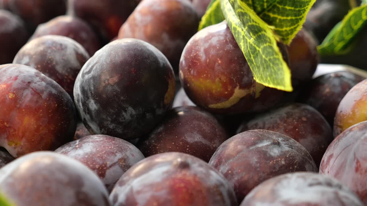 Close-up of Plums