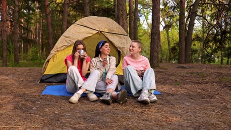 three friends camping in a forest
