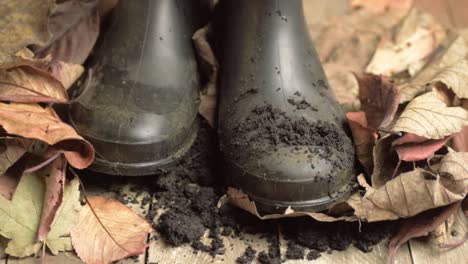 Schmutzige-Gummistiefel-Mit-Herbstblättern-Im-Hintergrund