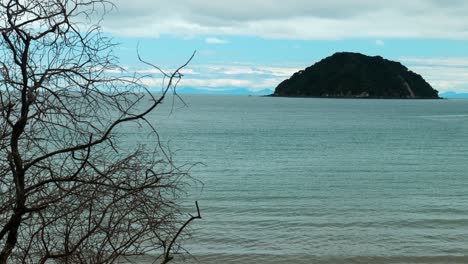 Majestic-tree-silhouette-against-a-backdrop-of-distant-island,-a-captivating-interplay-of-nature's-beauty