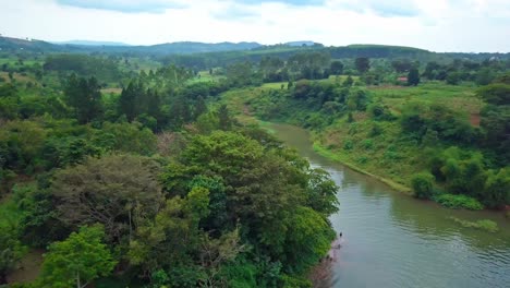 aerial view of the river nile winding through a verdant landscape in uganda, showcasing an eagle on a tree and the rich biodiversity and natural beauty of the region under a cloudy sky