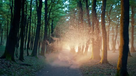 enchanted forest path at dawn/dusk