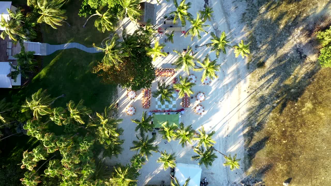 Looking down on tropical palm trees casting shadows on sand at Cheeca Lodge, aerial top shot descend