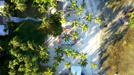 looking down on tropical palm trees casting shadows on sand at cheeca lodge, aerial top shot descend